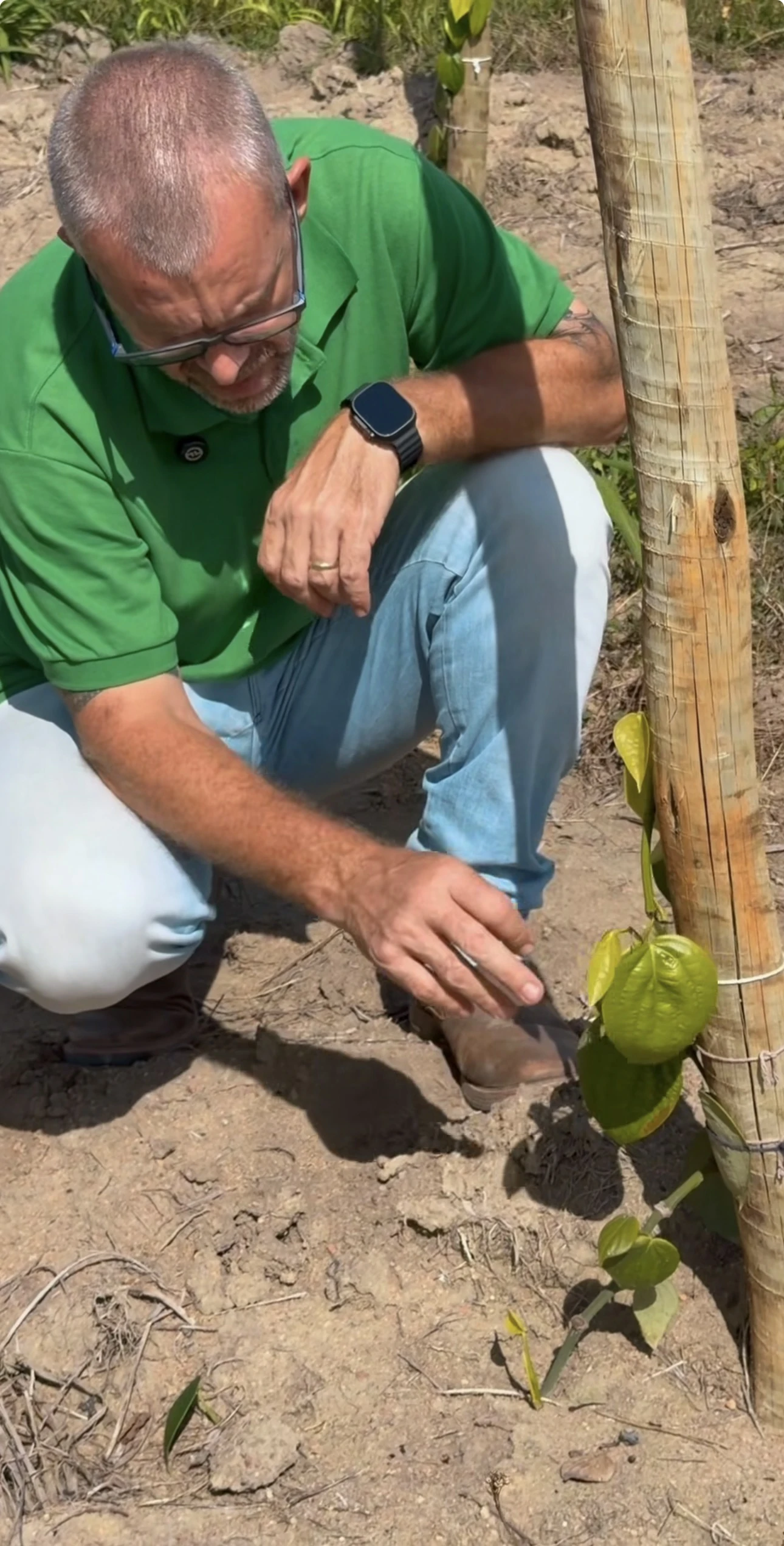 Experiência prática da Erasmo Agro no campo — imagem 3 de 38